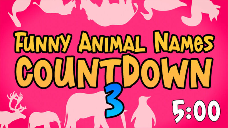 Funny Animal Names Countdown 3